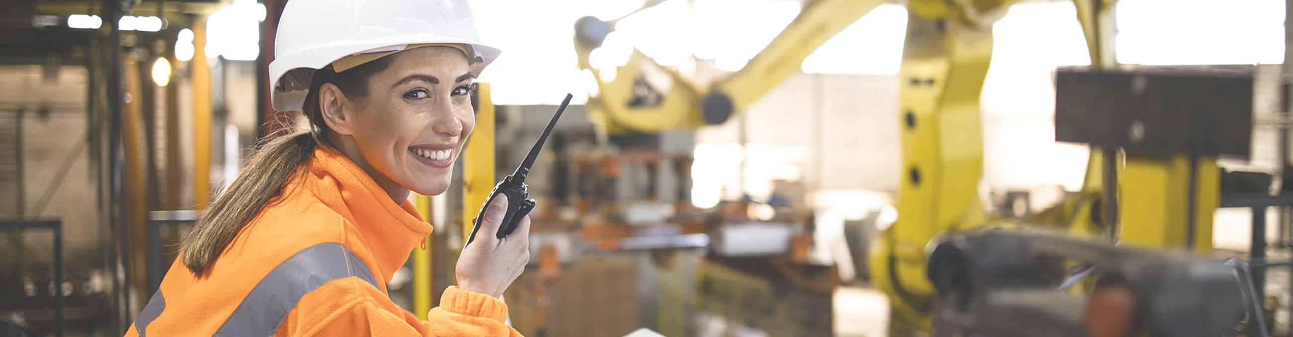 <strong>应用案例</strong>