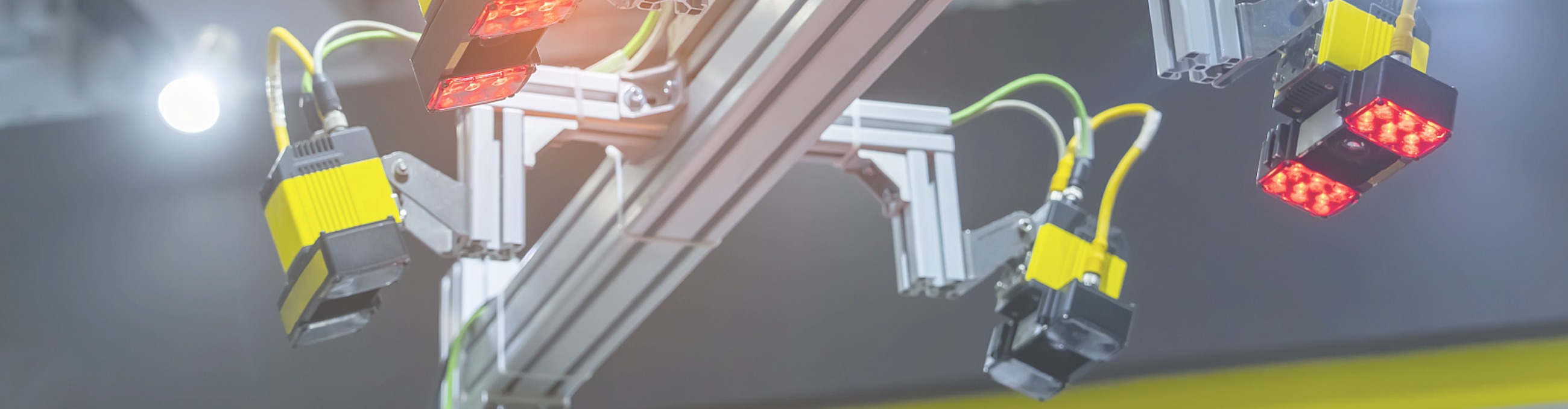 <strong>Product display</strong>